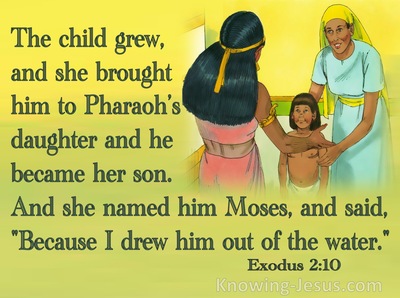 Exodus 2:10 She Named His Moses (green)